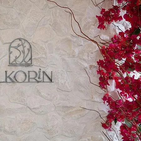 Elkorin Jacuzzi Luxury Living 公寓 干尼亞