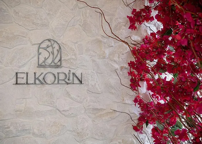 Elkorin Jacuzzi Luxury Living 公寓 干尼亞