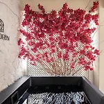 Elkorin Jacuzzi Luxury Living * La Canea